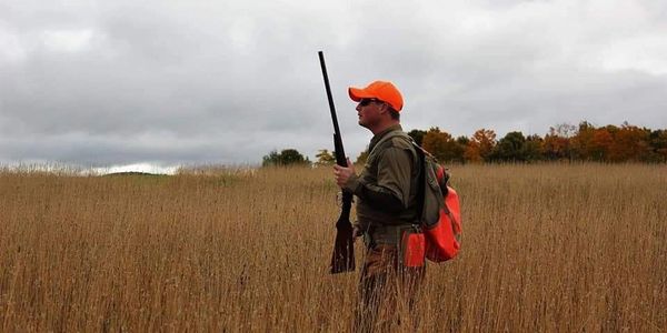 Maine grouse hunting guides