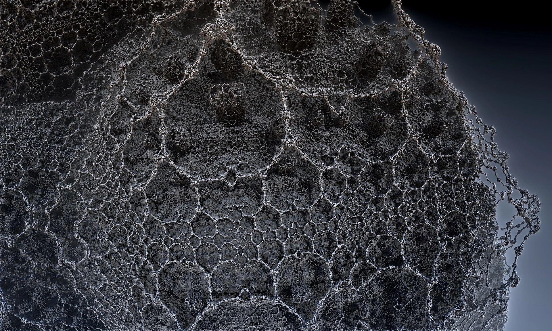 Multiverse Optimization Algorithm Hands-on Multiverse Optimization Algorithm using Python