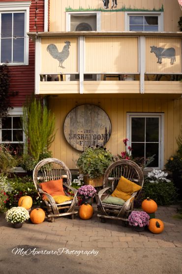 Cozy outdoor seating with pumpkins and flowers in front of a rustic building.