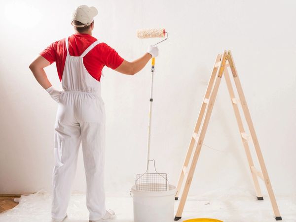Mr-Painter