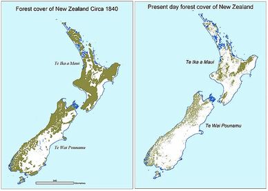 A comparison of forest cover before the British established a colony in New Zealand (left) versus to