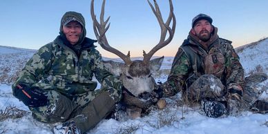 Alberta Mule Deer resident Hunts