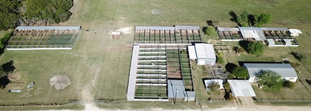 Aerial view of multiple fenced enclosures and buildings on a large grassy property.