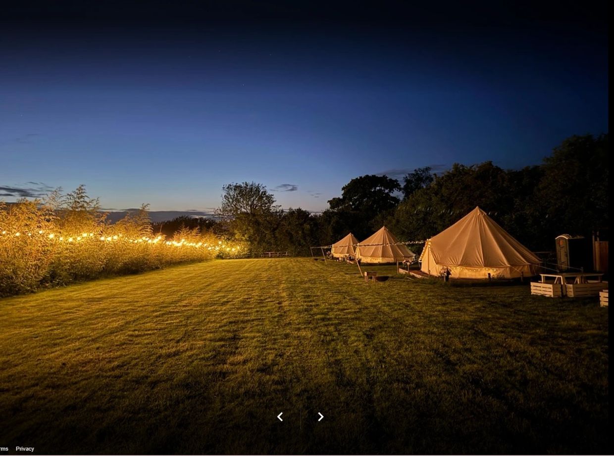 Night time view of the bell tents illuminated by the fairy lights on the bamboo hedging