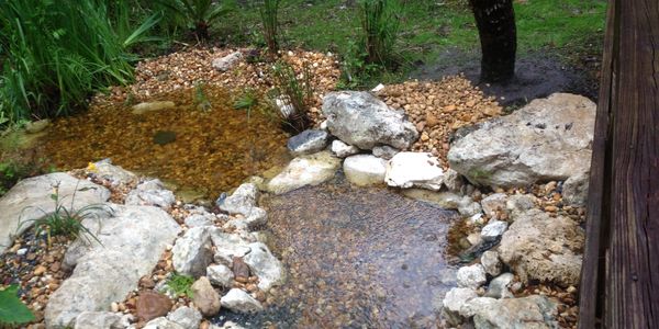 A ponding area of a yard that is turned into a water garden using rocks and plants.