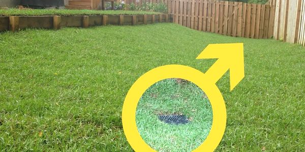 sloped yard with a retaining wall, and a call out of a drain installed in the grass. 