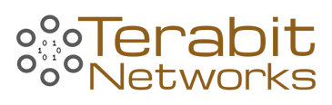 Terabit Networks
Fiber for Tooele Valley