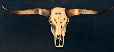 Outlawkowboy