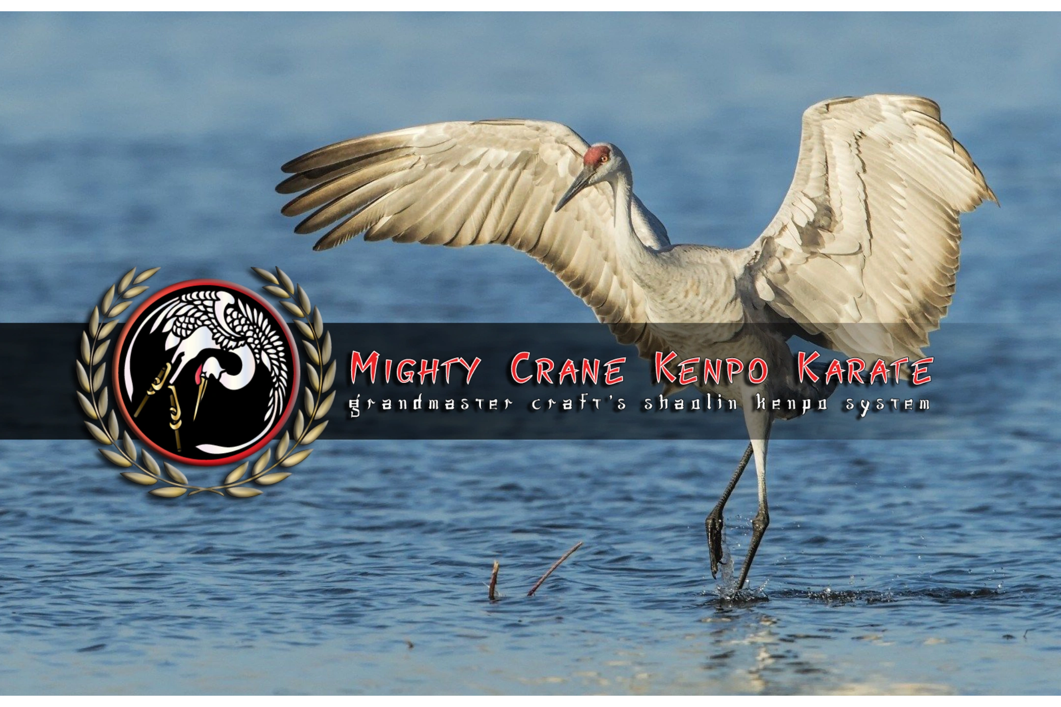 Mighty Crane Kenpo Karate