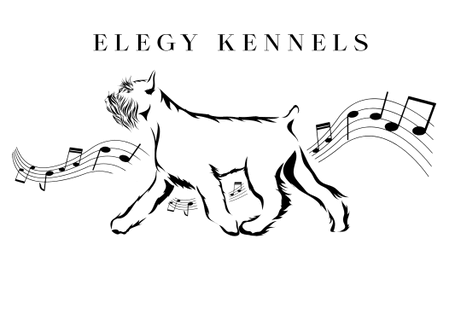 Elegy Kennel and Cattery