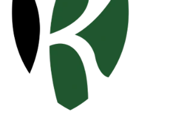 Minimalist green leaf logo design on white background.