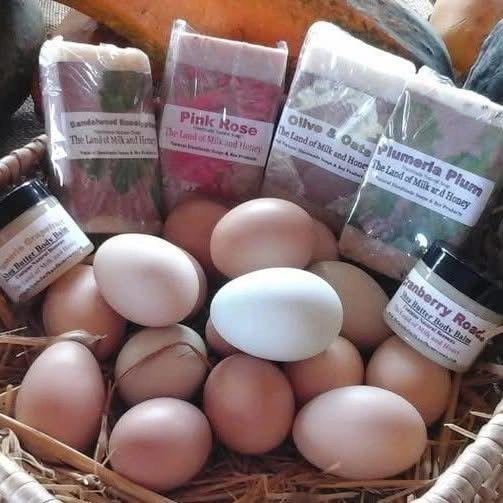 The Land of Milk and Honey