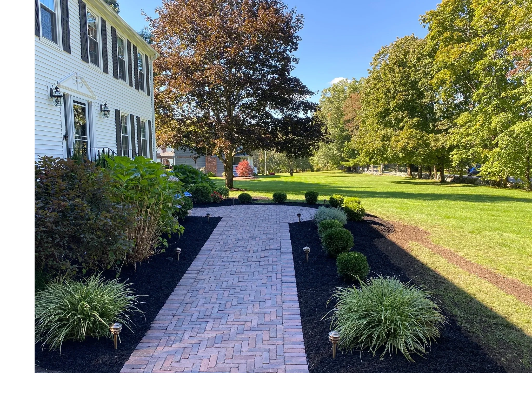 Backyard Solutions LLC