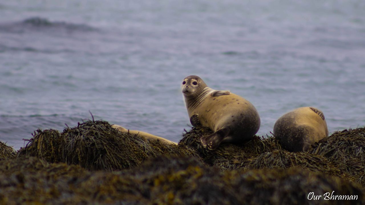 Explore snæfellsnes peninsula- West Iceland Rs=w:1280