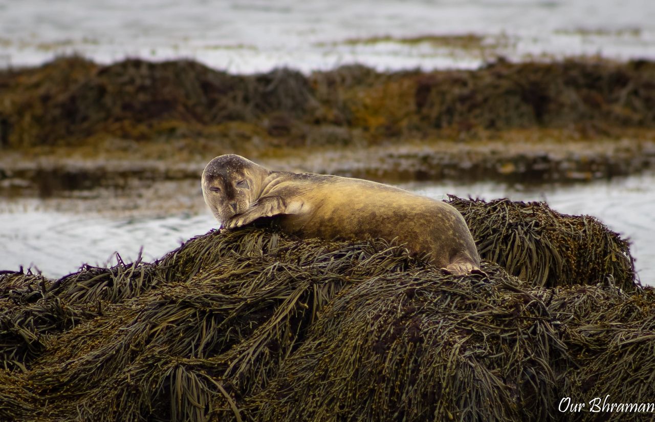 Explore snæfellsnes peninsula- West Iceland Rs=w:1280