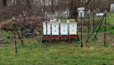 Hives that we placed on a friends farm to help pollinate their crops.