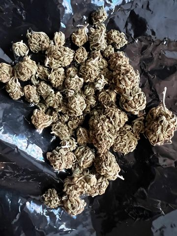 Permanent Marker =indica = 34%