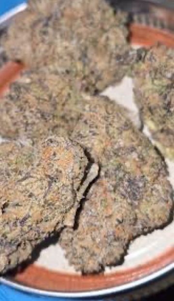 Blue lobster (ɪʜ)
30%thc
