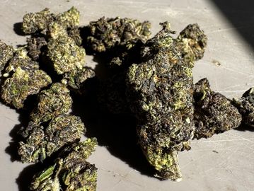 Indica hybrid 40% thc