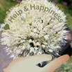 Help and Happiness: Multidimensional Organizing Services.
