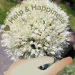Help and Happiness: Multidimensional Organizing Services.