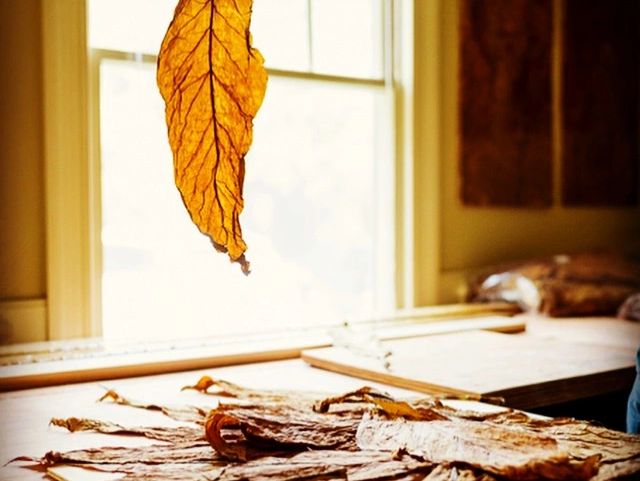 Artisan Leaf