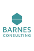 barnesconsultinguae.com