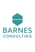 barnesconsultinguae.com