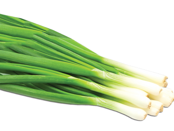A bunch of fresh green onions with white bulbs.