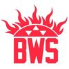 BWS Labs (BWS): gamified defi