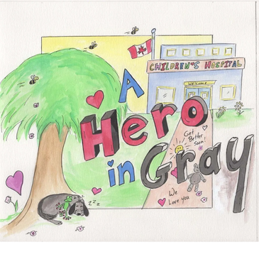 A Hero in Gray written by local Okanagan children's author/artist, Cherie Rousson is about  boy figh