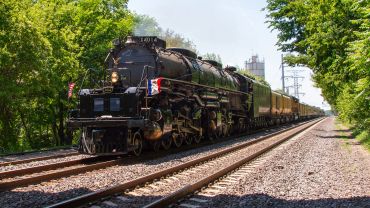 A vintage steam locomotive pulling a long train through a green wooded area.