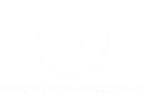 Vivid Health Collective