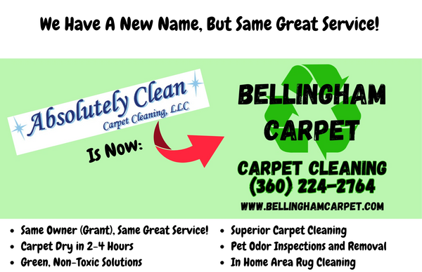 Absolutely Clean Carpet Cleaning LLC has changed their name.  We are now Bellingham Carpet.  