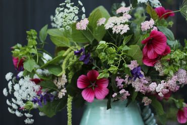 merry malope and friends in a vase