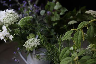summer bounty hydrating
