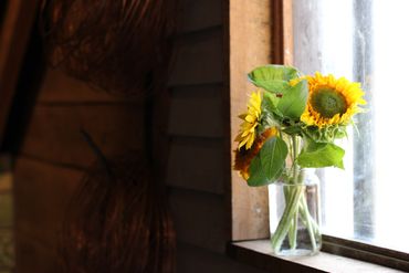 simply sunflowers