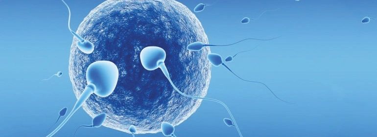 Veterinary Reproductive Supplies