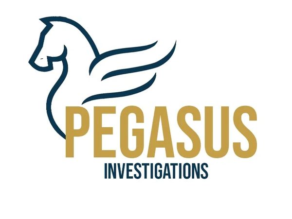 private investigator, pegasus investigations, investigator, ottawa, professional, discrete evidence