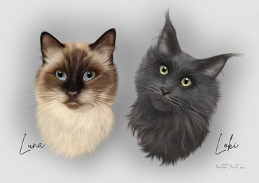 Traditional Pet art portrait, two beautiful cats