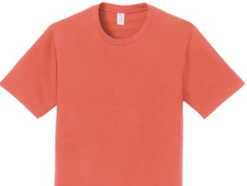 Port&Co - Fan Favorite Tee - 100% Ring Spun Cotton - Available in 42 colors - Adult S - 6XL