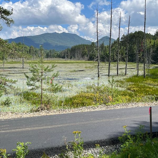 view of mountains and pond beside Adirondack Rail Trail