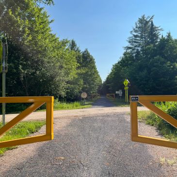 Open yellow gate leading to a tree-lined path on a sunny day.