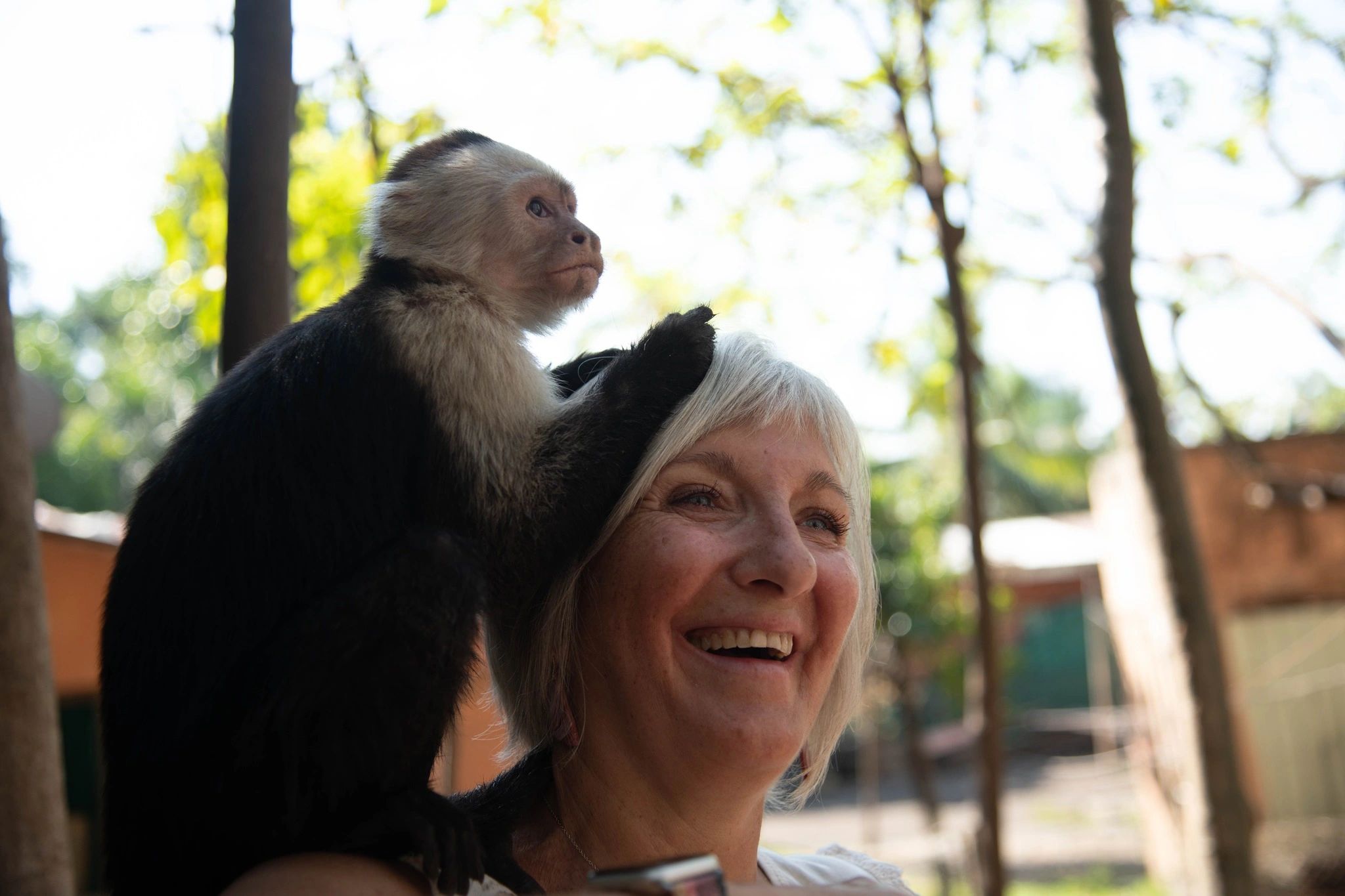 Costa Rica monkey tour with traveler interacting with wildlife, popular nature experience for visitors
