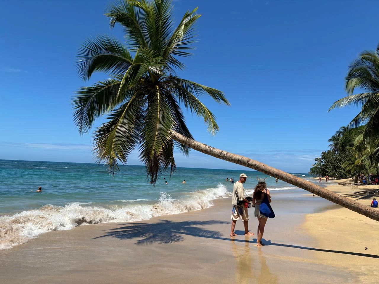 Pareja caminando en la playa con una palmera inclinada bajo un cielo azul claro.