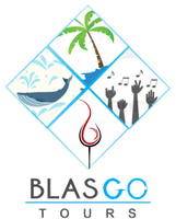 BLASGO TOURS