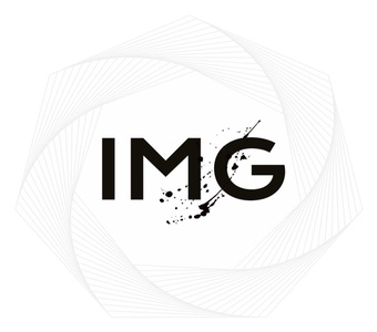 INTEGRATED MUSIC GROUP LLC