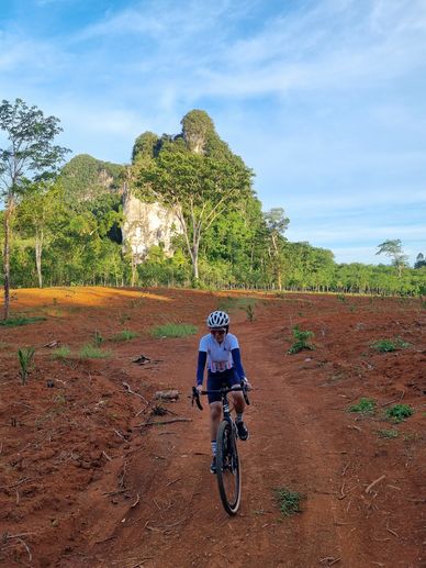 Gravel trail in front of karst