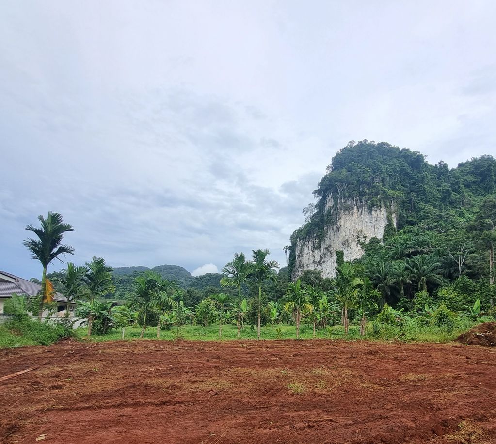 Krabi Eco Nest construction site