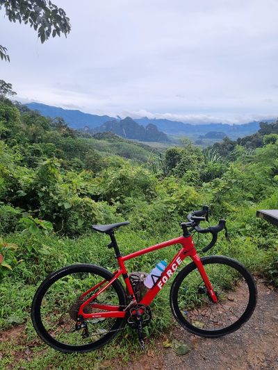 Road bicycle in Khao Sok national park